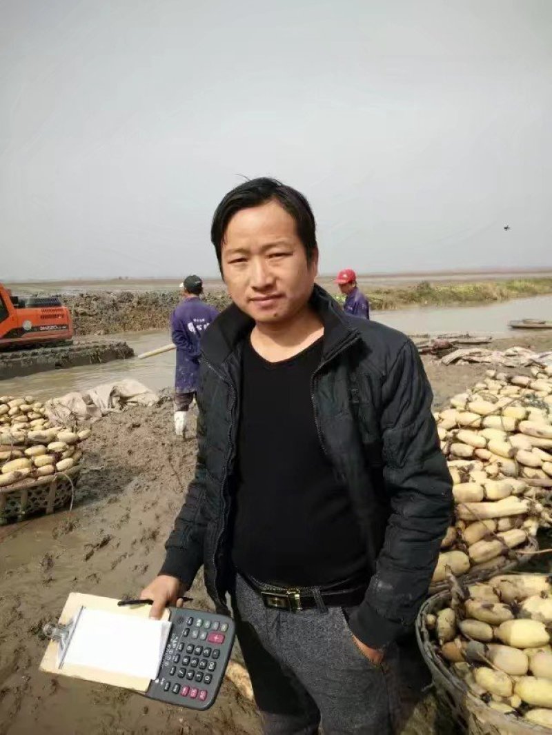鄂莲6号，粉藕