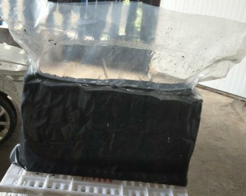 臭豆腐生胚批发1500片