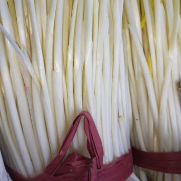 蒜黄