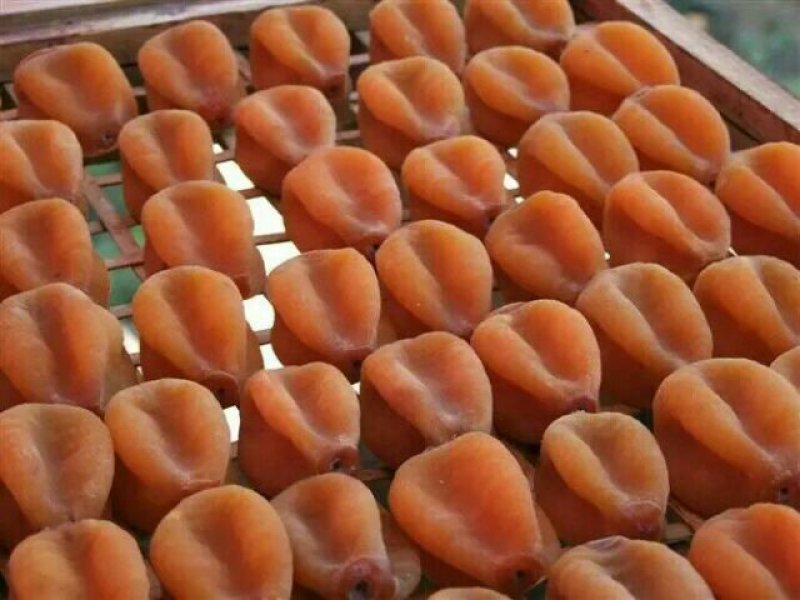 广西特产柿饼