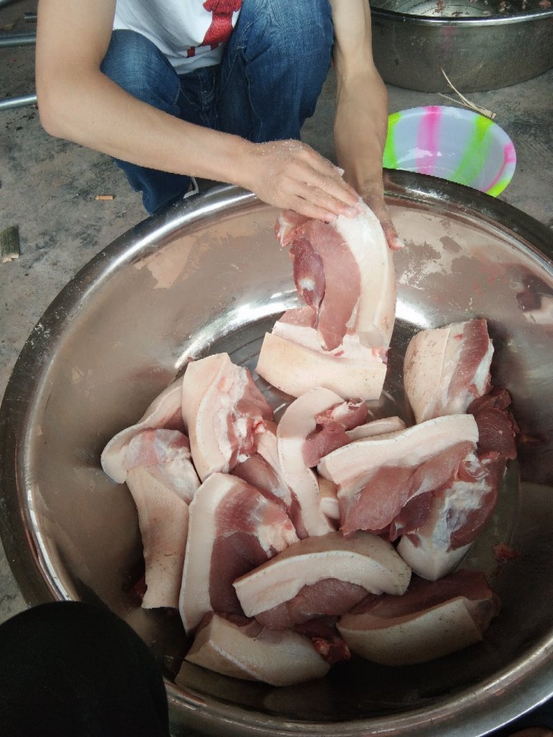 黑猪