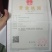 农户直销春鹃小苗杜鹃小苗湖南毛鹃春娟小苗