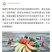 桂圆红枣枸杞茶