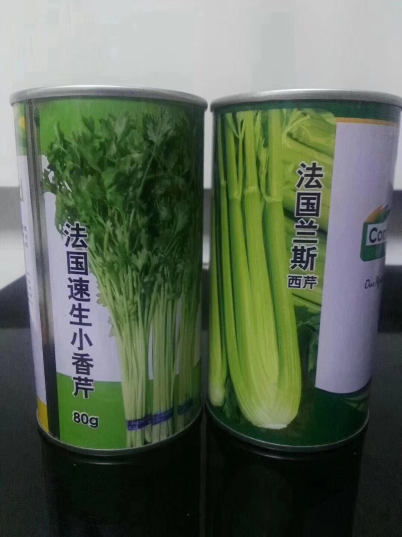 进口实心西芹种子