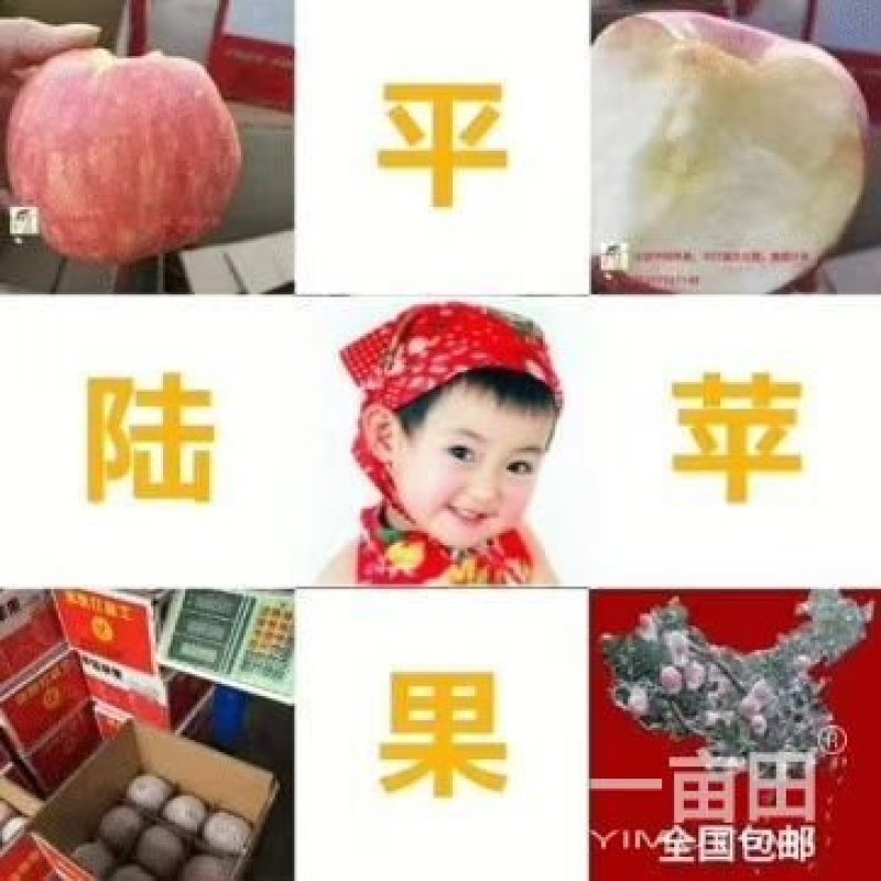 可口可乐红富士纸十镆平果
