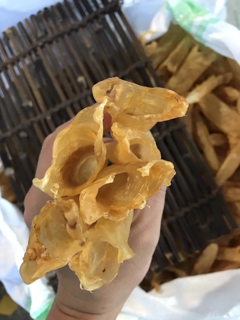 黄花胶筒多规格有货！18头