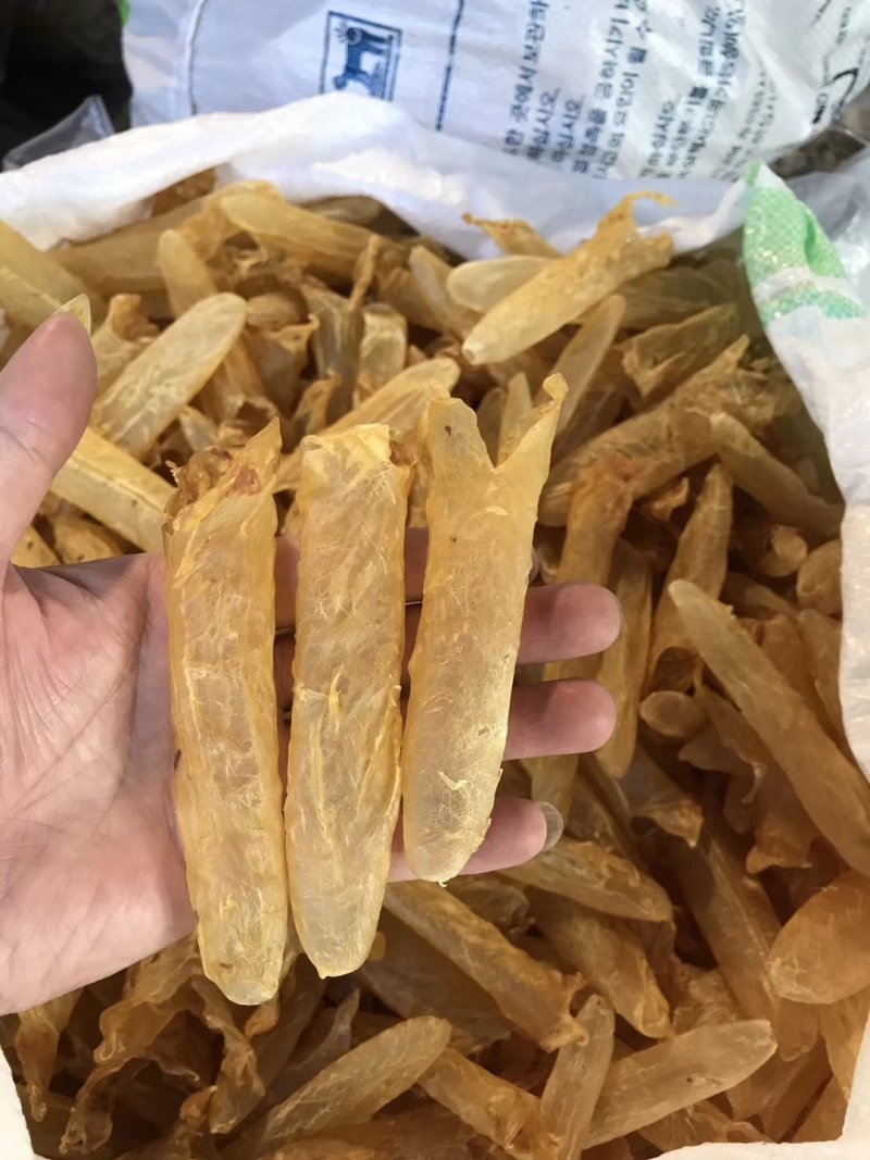黄花胶筒多规格有货！18头