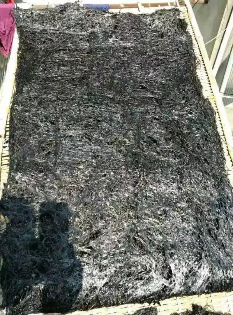 头水紫菜