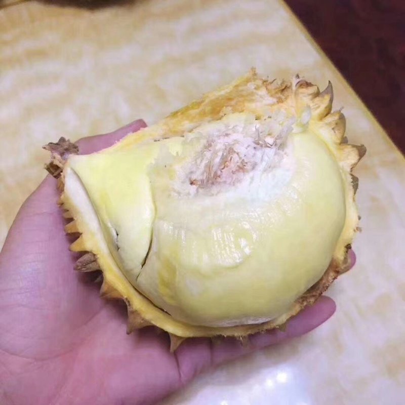 金枕榴莲
