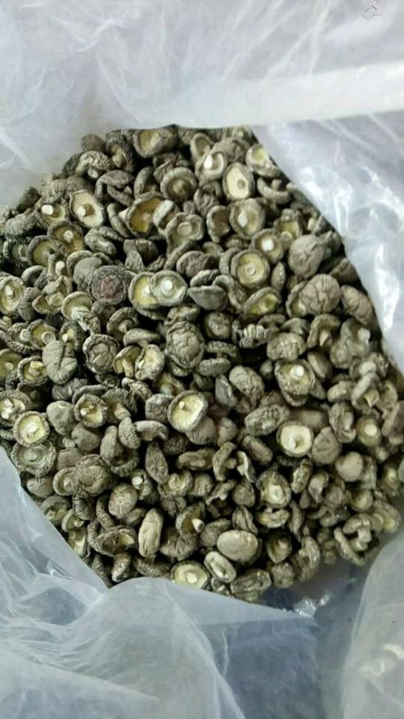 干香菇，花菇，光面菇