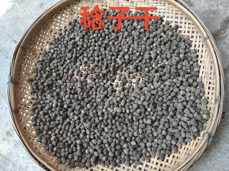 稔子干产地直销品质保证价格优惠欢迎选购
