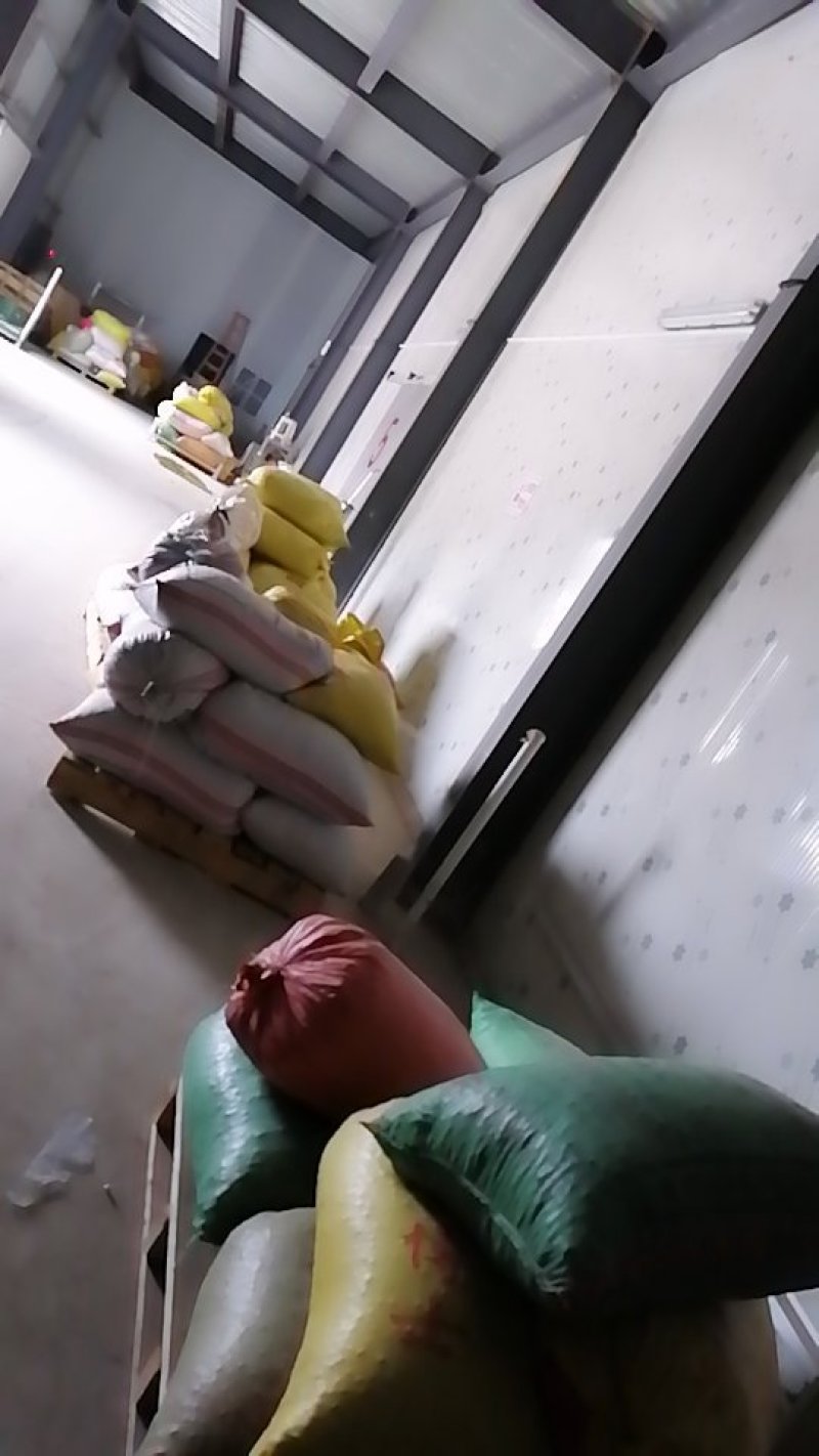 银杏白果
