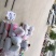 银杏白果