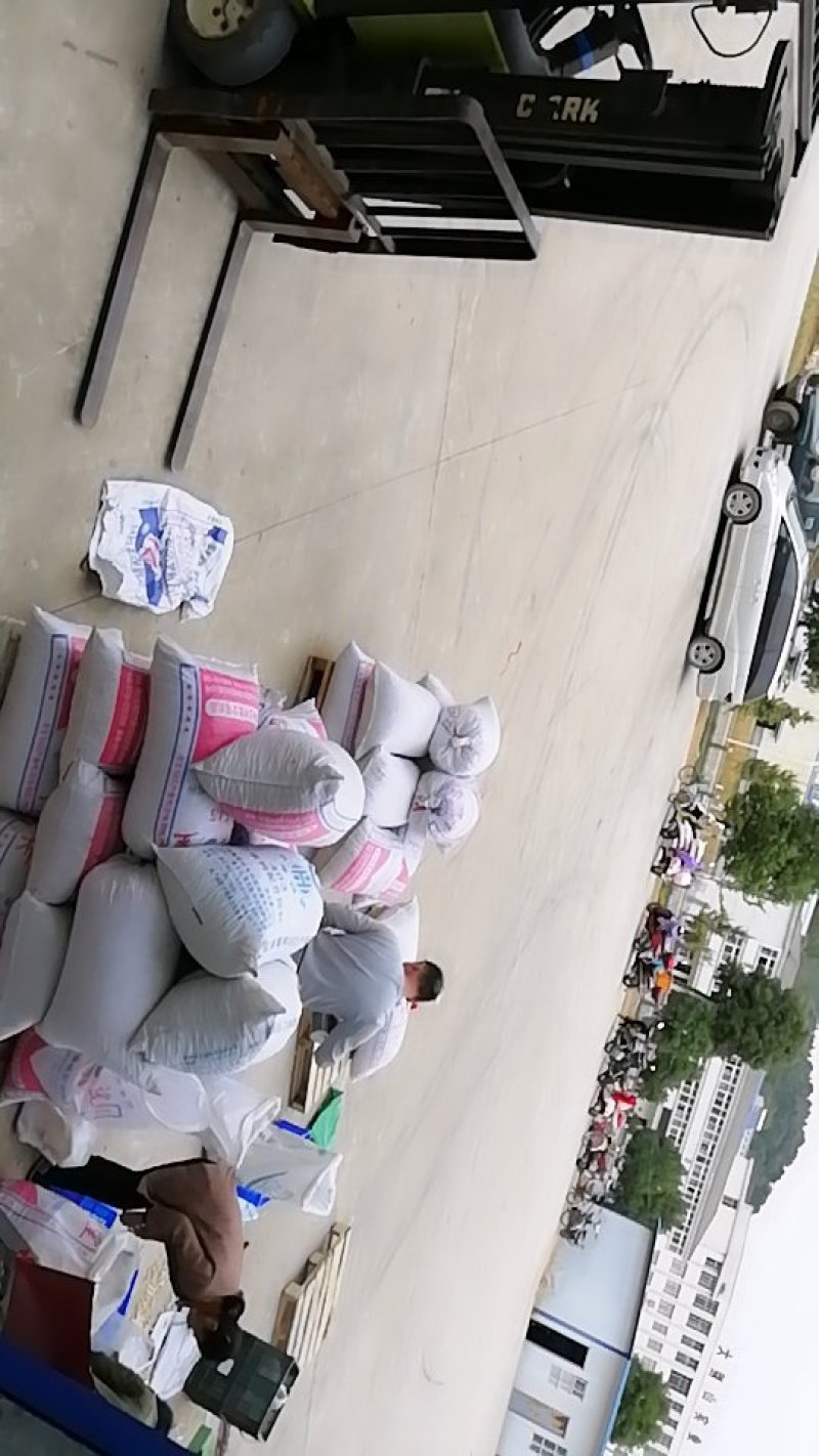 银杏白果