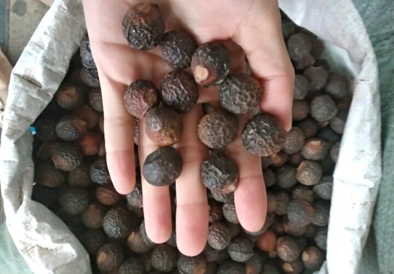 洗手果，足干