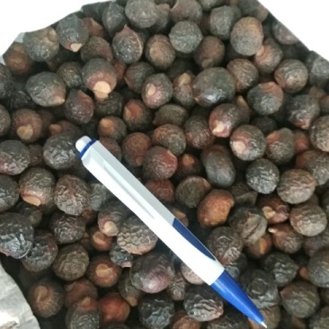 洗手果，足干
