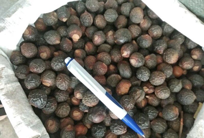 洗手果，足干