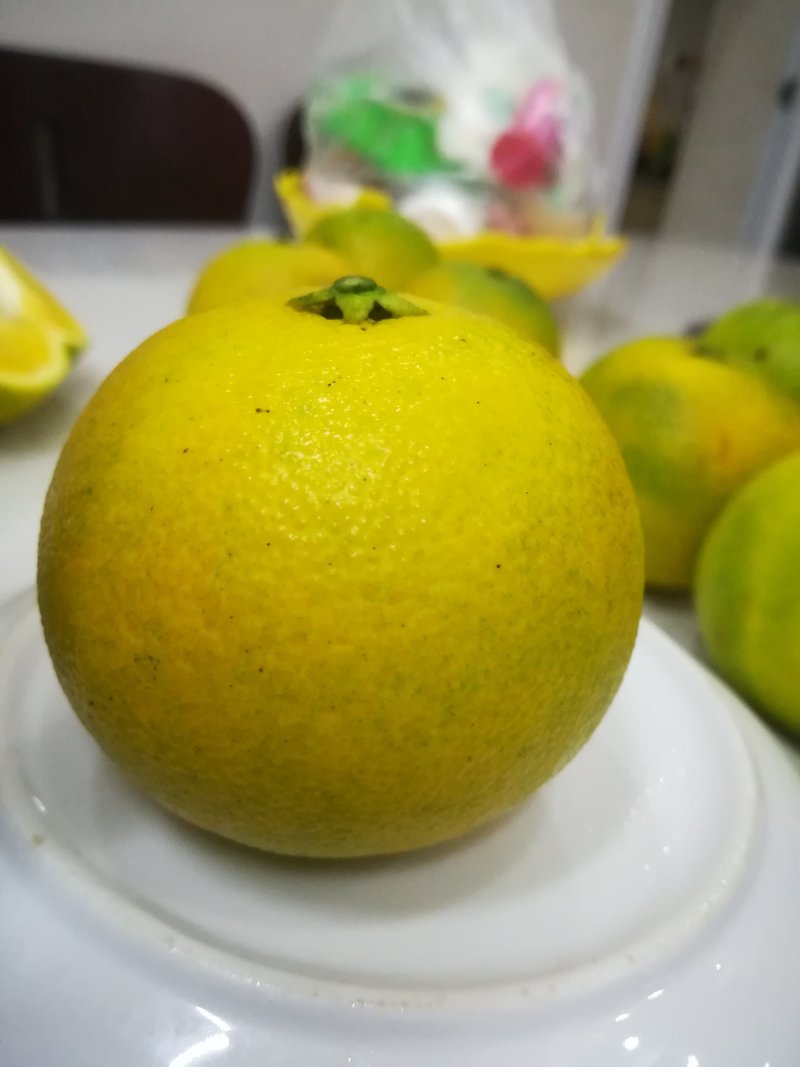 锦蜜冰糖橙大量开始出售一件包邮