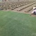 精品百慕大