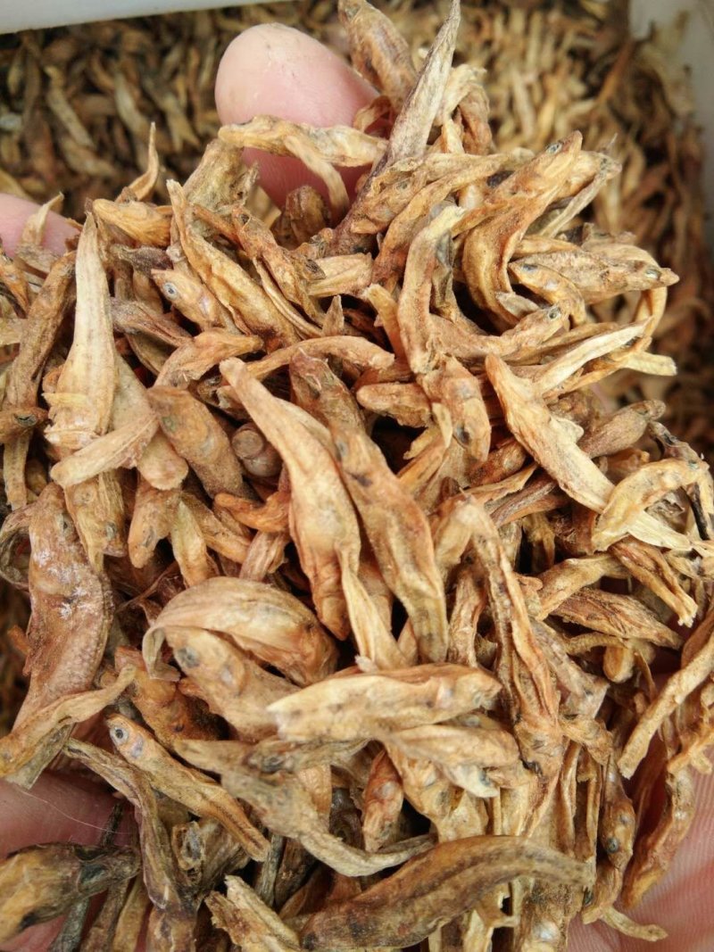 干鱼，干虾，我们这里的土特产