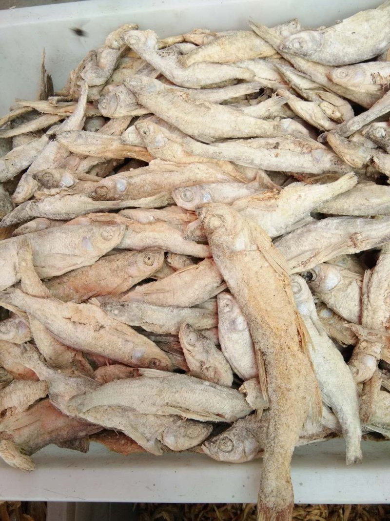 干鱼，干虾，我们这里的土特产