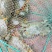 红母鲟青鲟