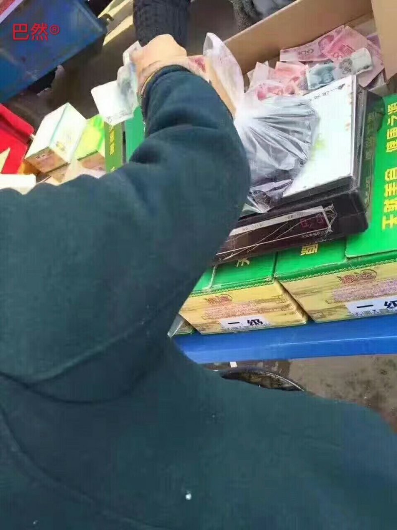 紫晶大黑枣