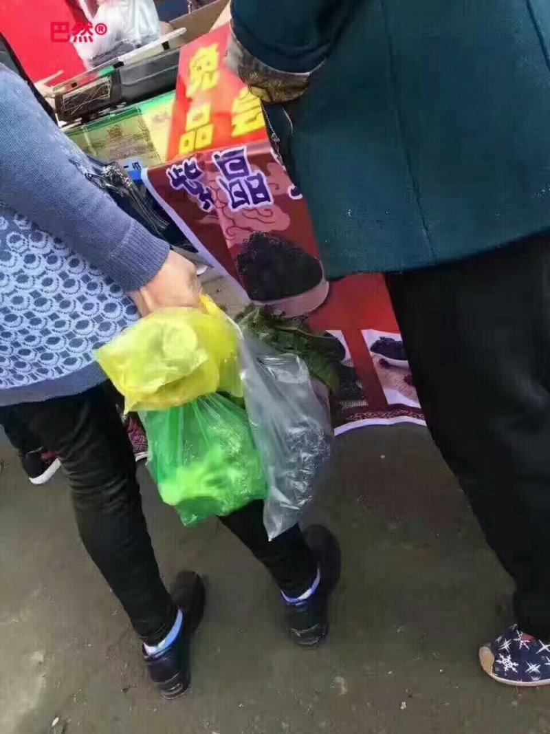 紫晶大黑枣