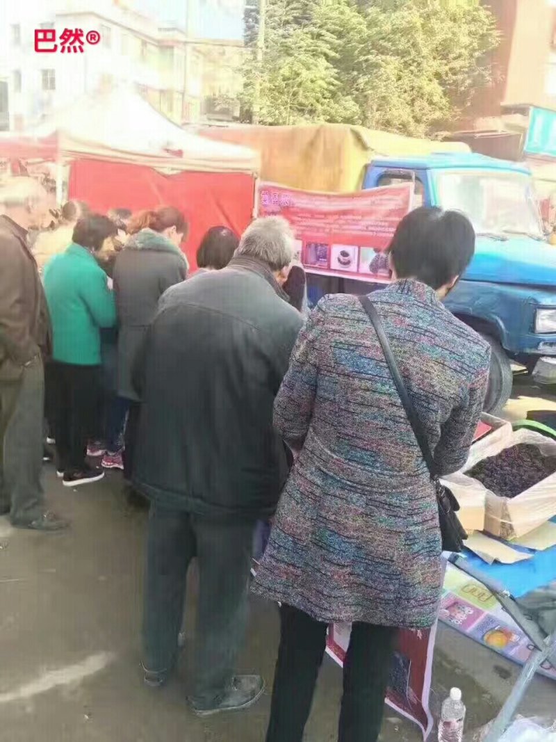 紫晶大黑枣