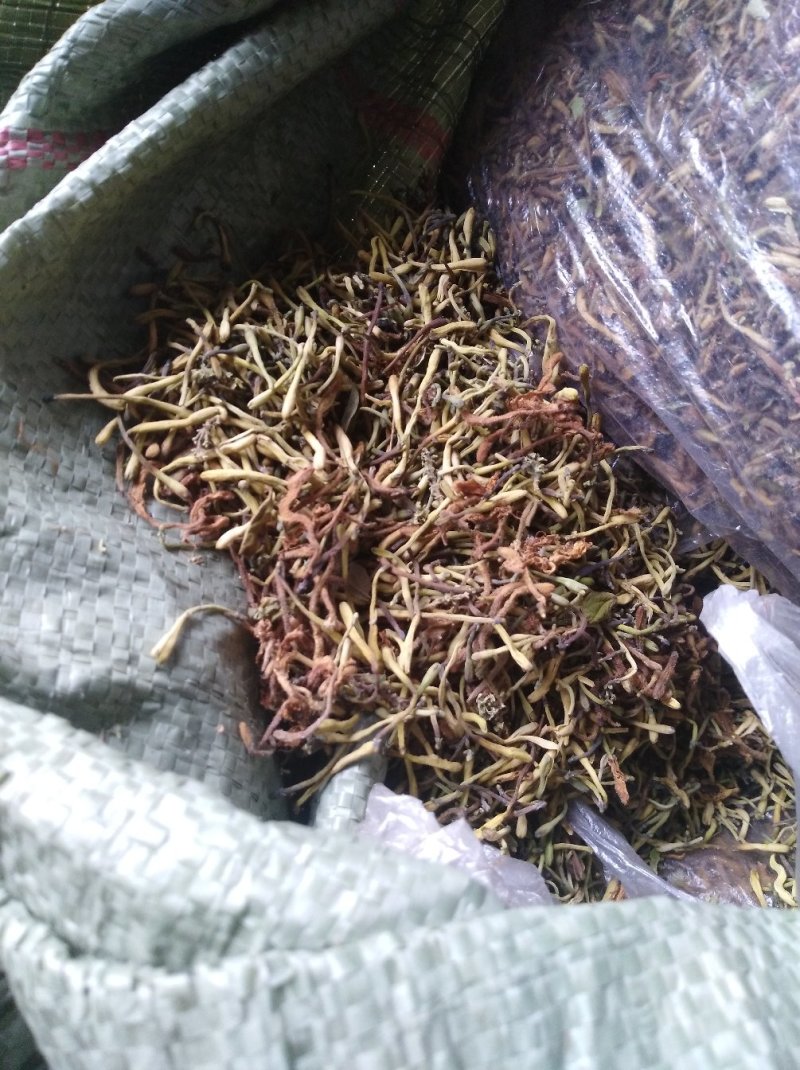 中药金银花茶特级去火茶散装花草茶
