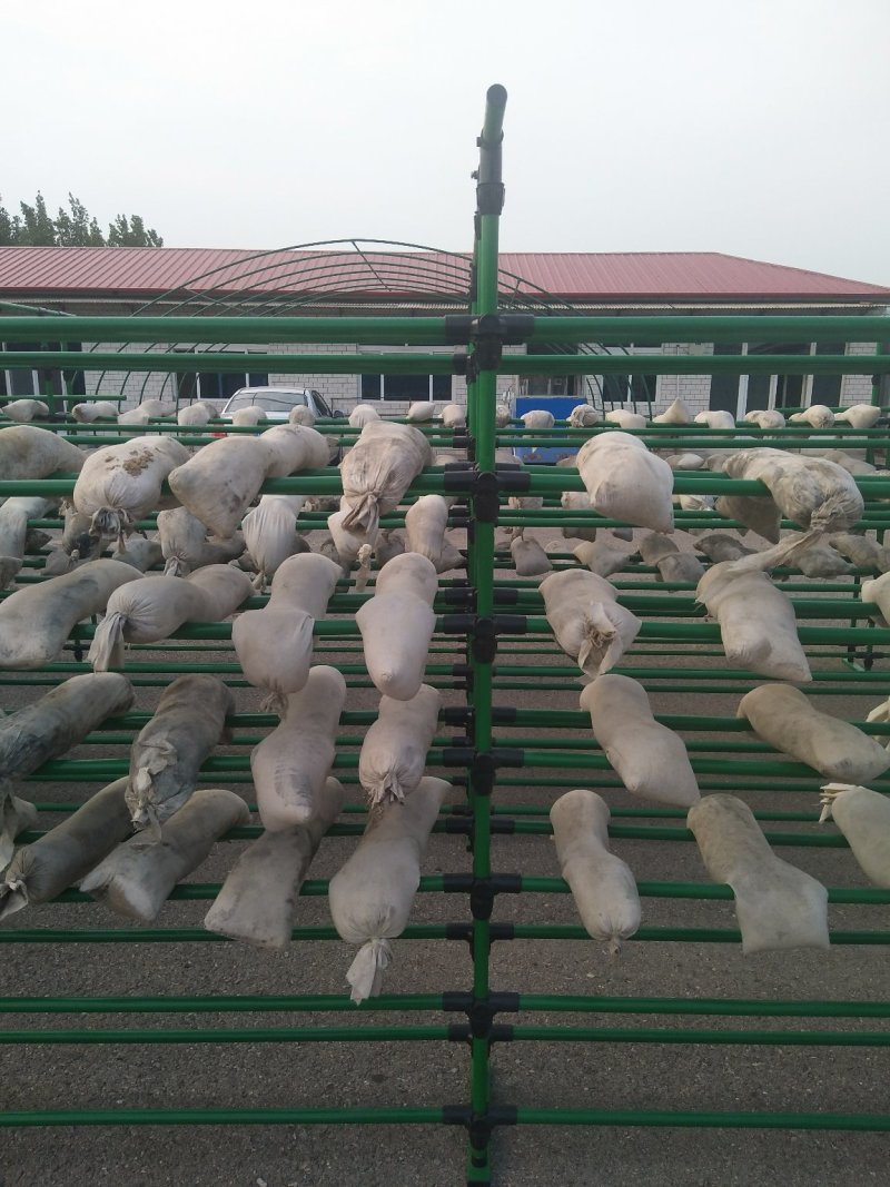 温室大棚包塑管蘑菇架大棚配件蔬菜大棚养殖大棚
