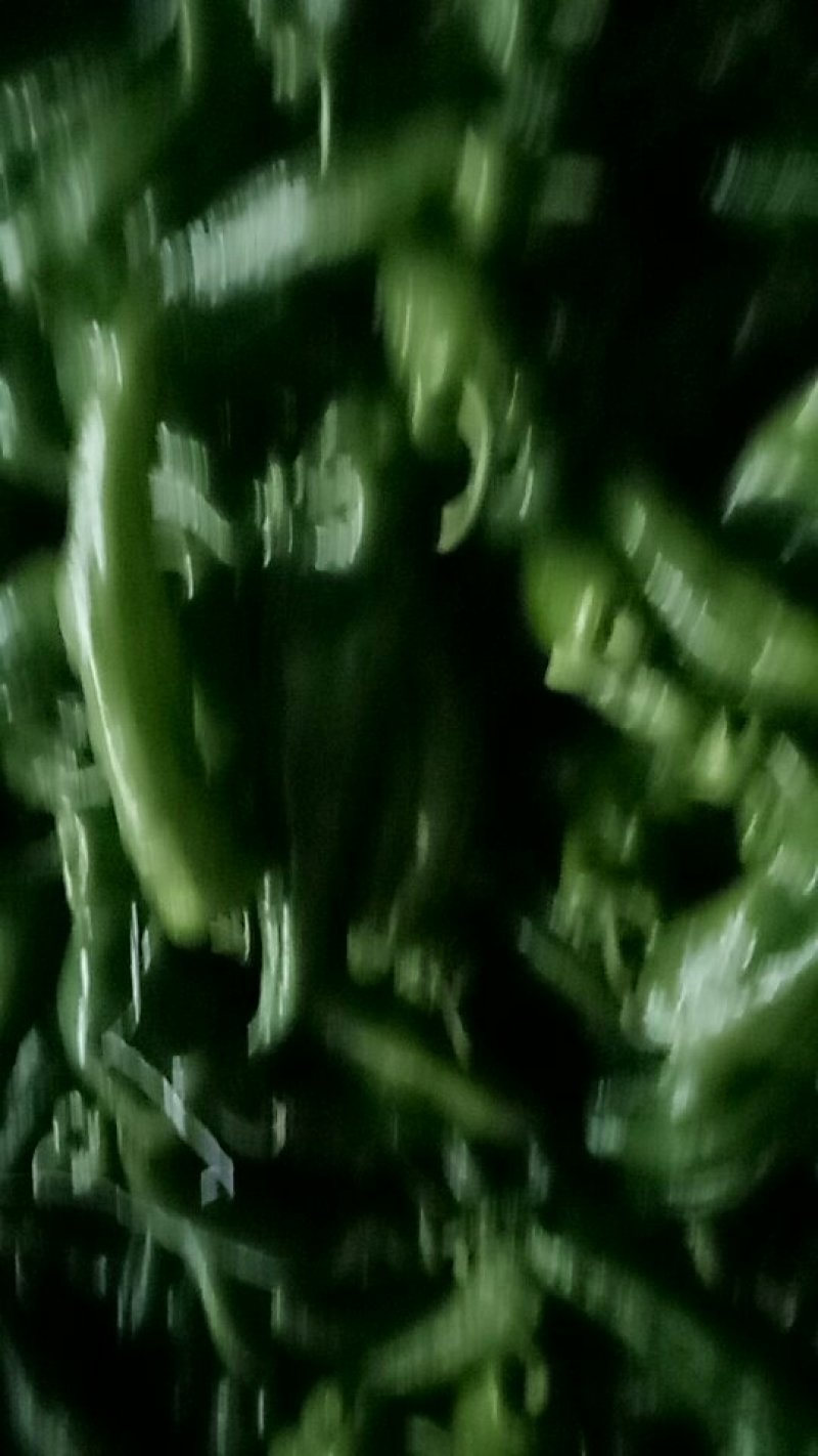优质大白菜，炎秀西兰花，优质大椒