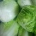 优质大白菜，炎秀西兰花，优质大椒