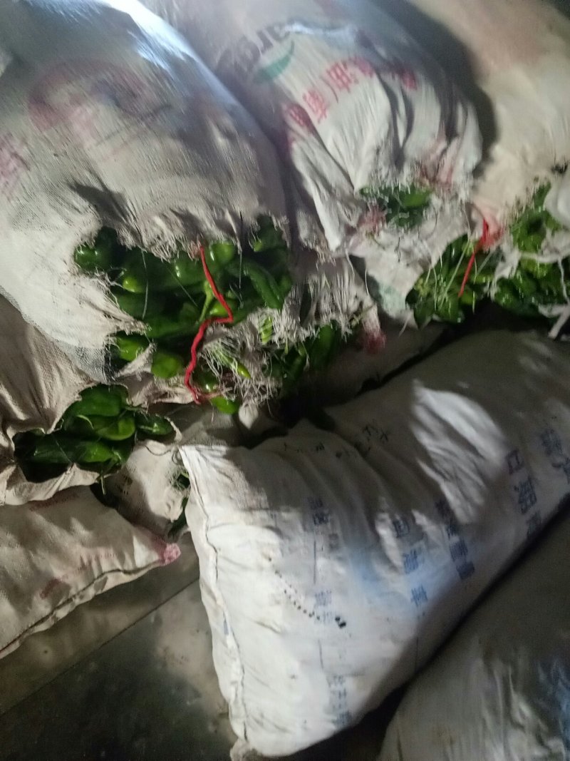 优质大白菜，炎秀西兰花，优质大椒