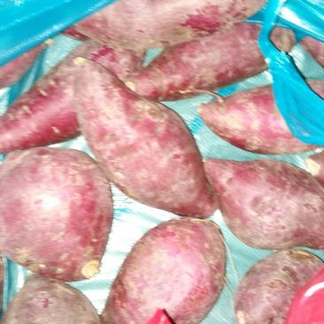 进口紫薯5元一斤