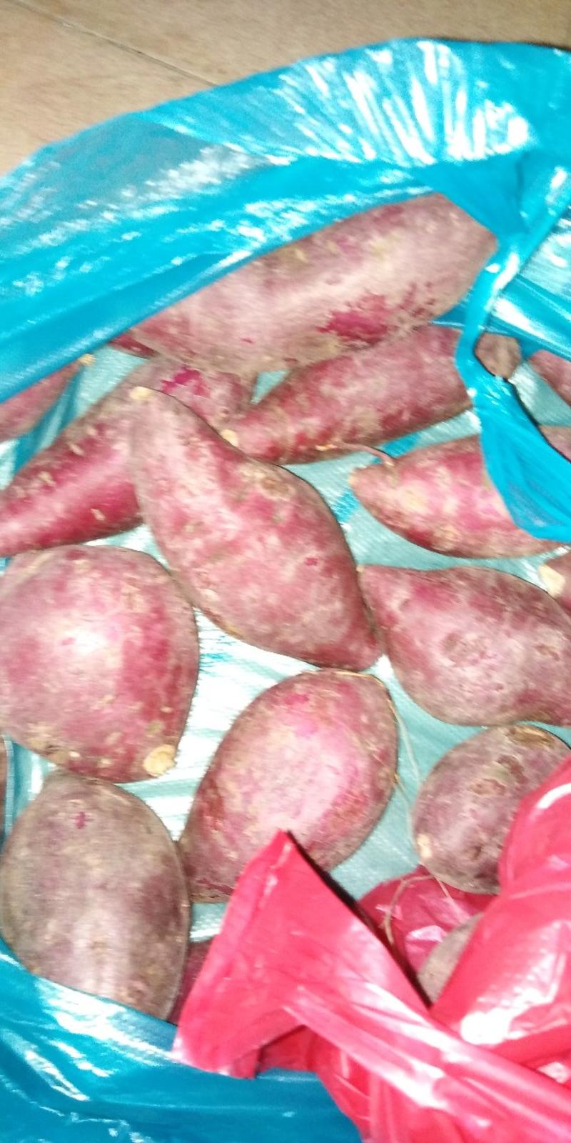 进口紫薯5元一斤