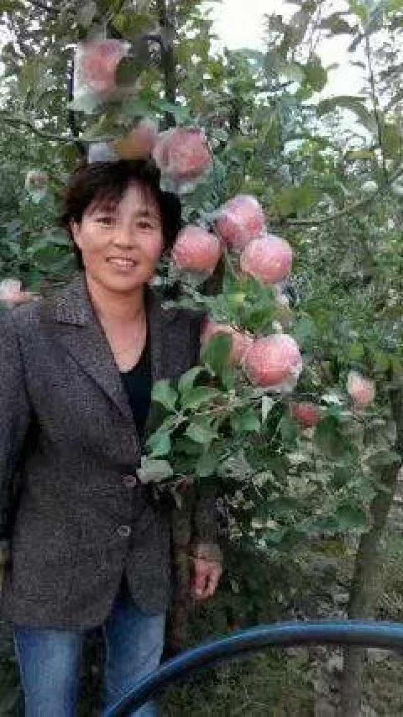 优质膜袋红富士，颜色鲜亮，口感脆甜，汁多，公司基地直供！