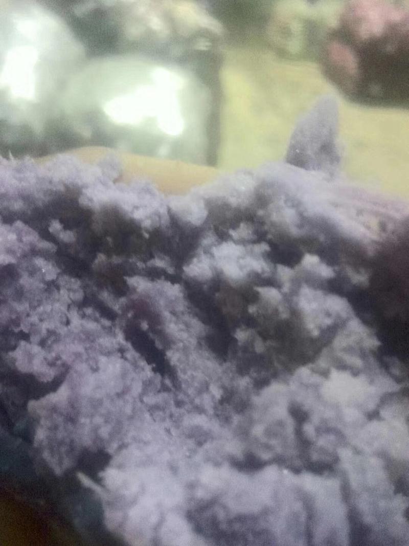 进口紫薯