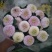 小雏菊