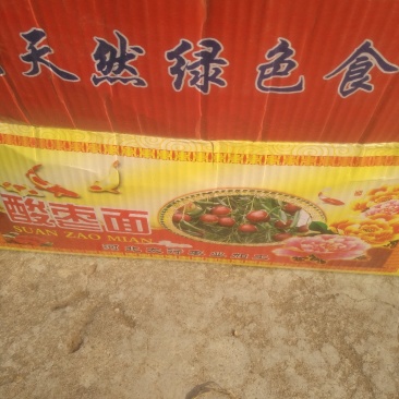 加工酸枣面