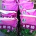 紫云英种子
