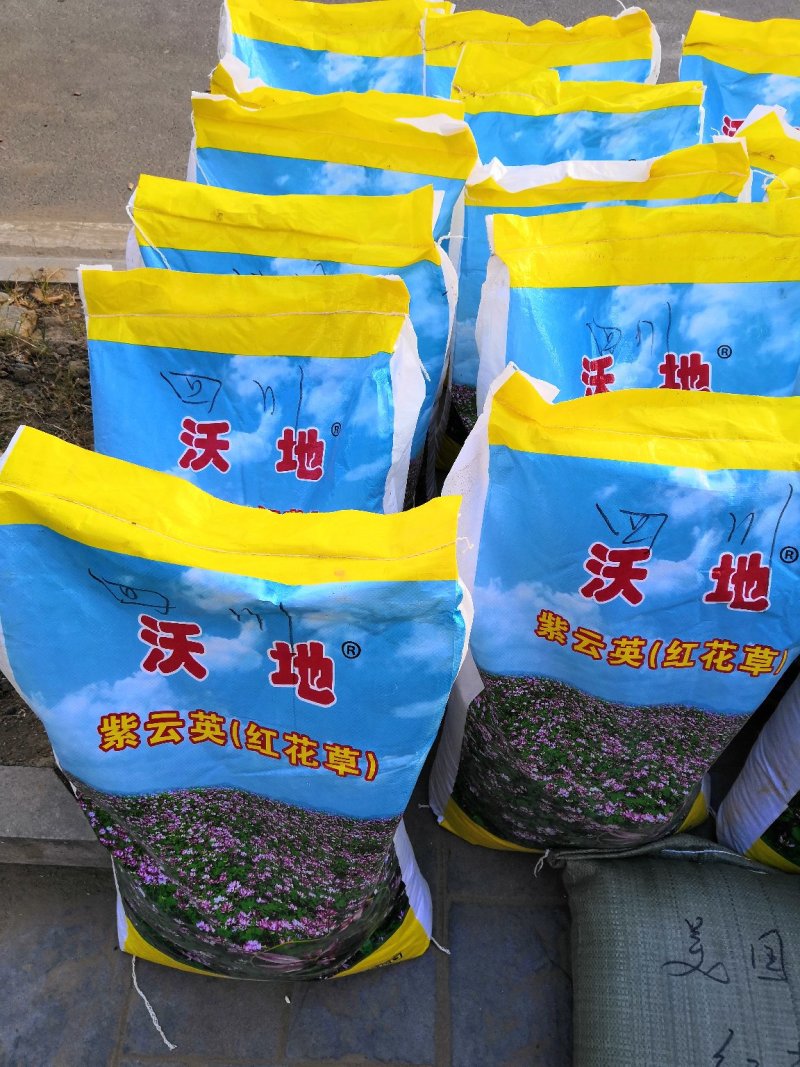 紫云英种子