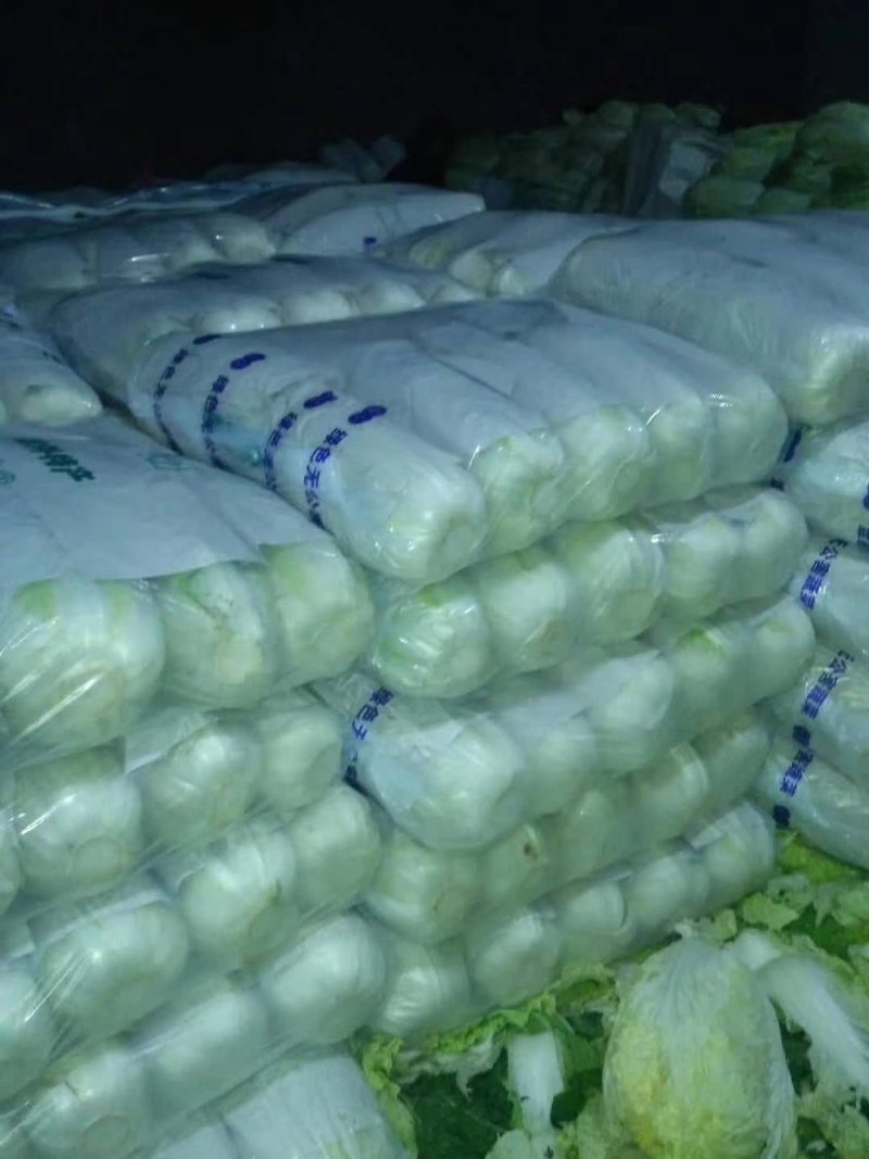 滕州大白菜大量供应超市市场精包装泡菜厂货