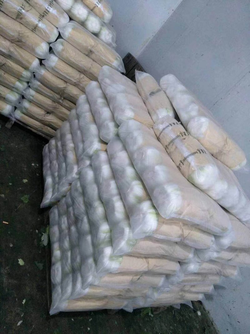 滕州大白菜大量供应超市市场精包装泡菜厂货