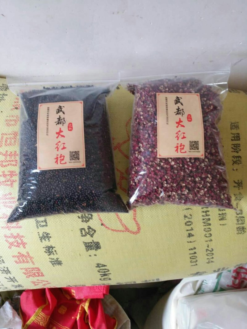 陇南武都:大红袍伏椒种子育苗专用提供育苗技术