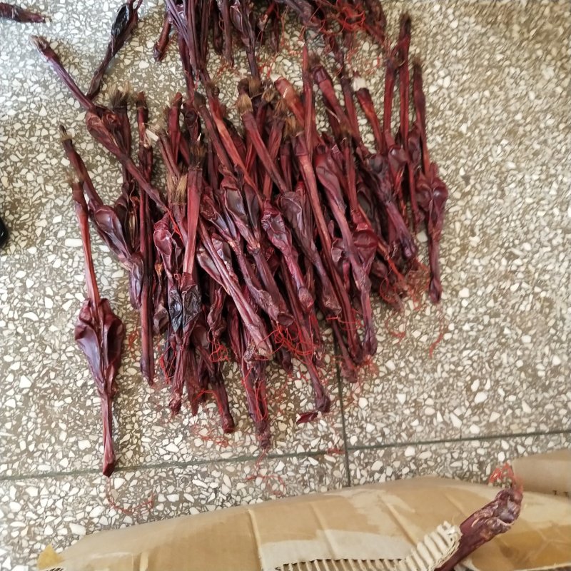 牛鞭