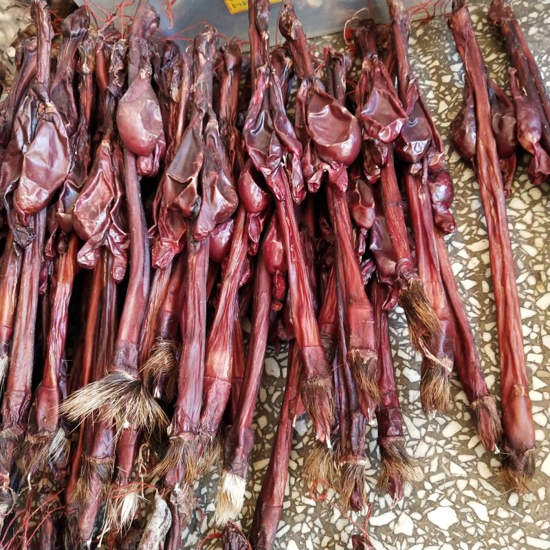 牛鞭