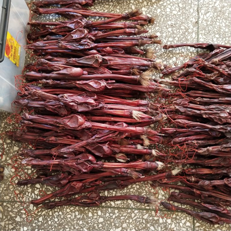 牛鞭