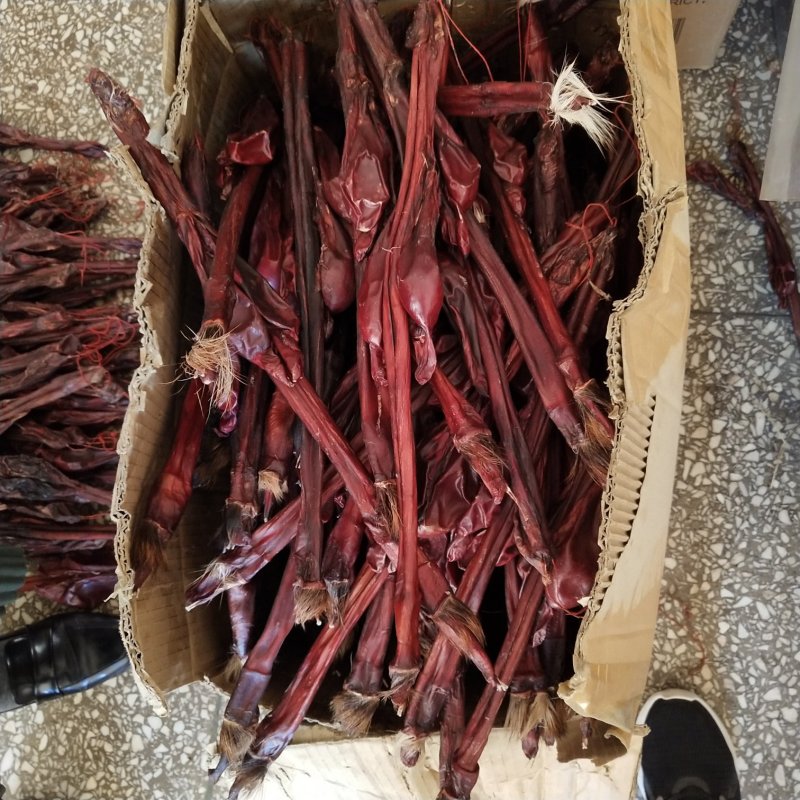 牛鞭