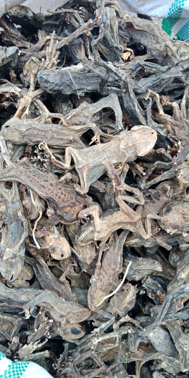 蟾蜍干蟾蜍批发各种中药材批发零售各种规格